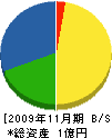 神奈川綜合設備 貸借対照表 2009年11月期