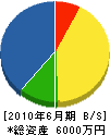 森田建設 貸借対照表 2010年6月期