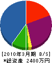 丸山電機商会 貸借対照表 2010年3月期