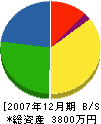 技電 貸借対照表 2007年12月期 技電 貸借対照表 2007年12月期