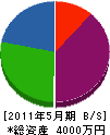 勝栄土木 貸借対照表 2011年5月期