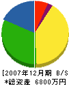 藤田組 貸借対照表 2007年12月期