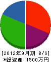 長野温泉地質研究所 貸借対照表 2012年9月期