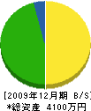 ナガタニ興産 貸借対照表 2009年12月期