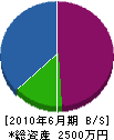東関東植物園 貸借対照表 2010年6月期