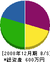 平野塗装店 貸借対照表 2008年12月期