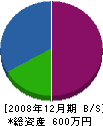 藤井塗装工業所 貸借対照表 2008年12月期