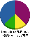 野口水道工事店 貸借対照表 2009年12月期