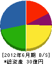 長岡商事 貸借対照表 2012年6月期