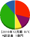 日本環境工学 貸借対照表 2010年12月期
