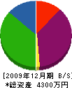 早川愛樹園 貸借対照表 2009年12月期