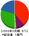 山田建工 貸借対照表 2009年9月期