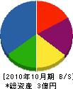 トヨシマ総合建設 貸借対照表 2010年10月期