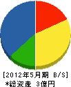 庄子電気 貸借対照表 2012年5月期