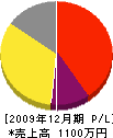 松岡塗装店 損益計算書 2009年12月期