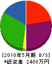 松尾建設 貸借対照表 2010年5月期