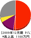 石井電工 損益計算書 2009年12月期