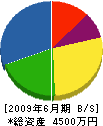 北斗開発 貸借対照表 2009年6月期