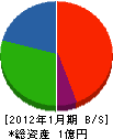 大江工務店 貸借対照表 2012年1月期