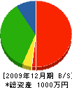 相澤塗装工業 貸借対照表 2009年12月期