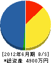 新田組 貸借対照表 2012年6月期
