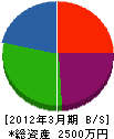 ＊澤工業 貸借対照表 2012年3月期
