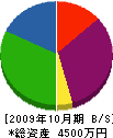 岩尾建業 貸借対照表 2009年10月期