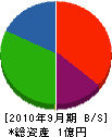 藤友企興 貸借対照表 2010年9月期