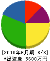 兵藤造園 貸借対照表 2010年6月期