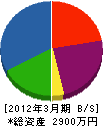 細川商会 貸借対照表 2012年3月期