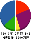 真田設備工業 貸借対照表 2010年12月期