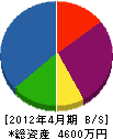 辻村設備 貸借対照表 2012年4月期