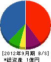 日新電気 貸借対照表 2012年9月期