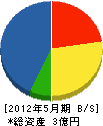 中沢工業 貸借対照表 2012年5月期