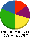 松本園芸 貸借対照表 2009年8月期 松本園芸 貸借対照表 2009年8月期