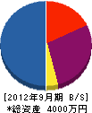 大永ラジオ店 貸借対照表 2012年9月期