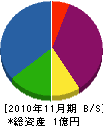 駿河ホームサービス 貸借対照表 2010年11月期