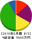 石坂産業 貸借対照表 2010年6月期