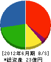 飯塚電機工業 貸借対照表 2012年6月期