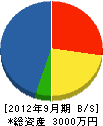 武重板硝子 貸借対照表 2012年9月期