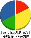 田村建設興業 貸借対照表 2012年3月期