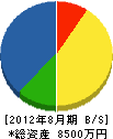 鳥取グリーン 貸借対照表 2012年8月期