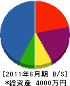 総合防災 貸借対照表 2011年6月期