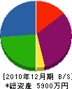 大島造園 貸借対照表 2010年12月期