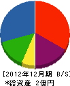 井澤建設 貸借対照表 2012年12月期