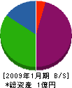 グリ－ンセンタ－芳樹園 貸借対照表 2009年1月期