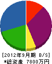 新田電業 貸借対照表 2012年9月期