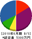 辰巳 貸借対照表 2010年6月期