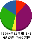 田川エンジニアリングサービス 貸借対照表 2009年12月期