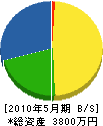 手川工務店 貸借対照表 2010年5月期
